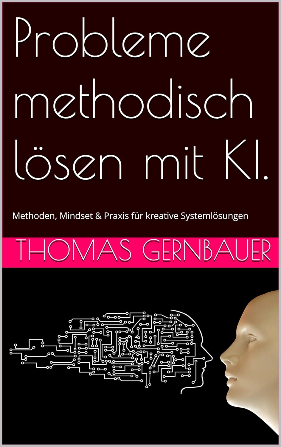 Probleme methodisch loesen mit KI